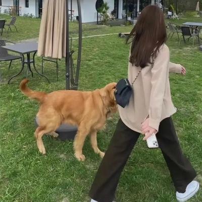 相关推荐